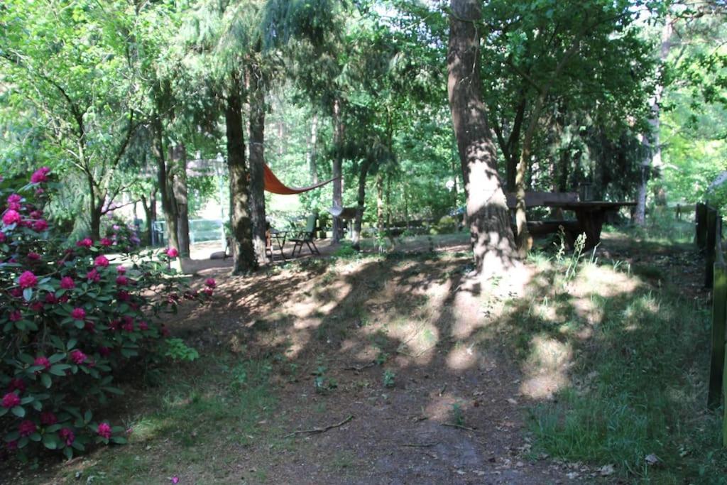 Ferienhaus Am Waldesrand Hatten Luaran gambar