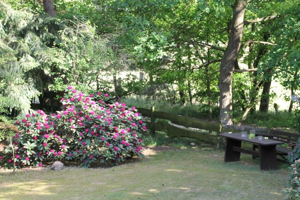 Ferienhaus Am Waldesrand Hatten Luaran gambar