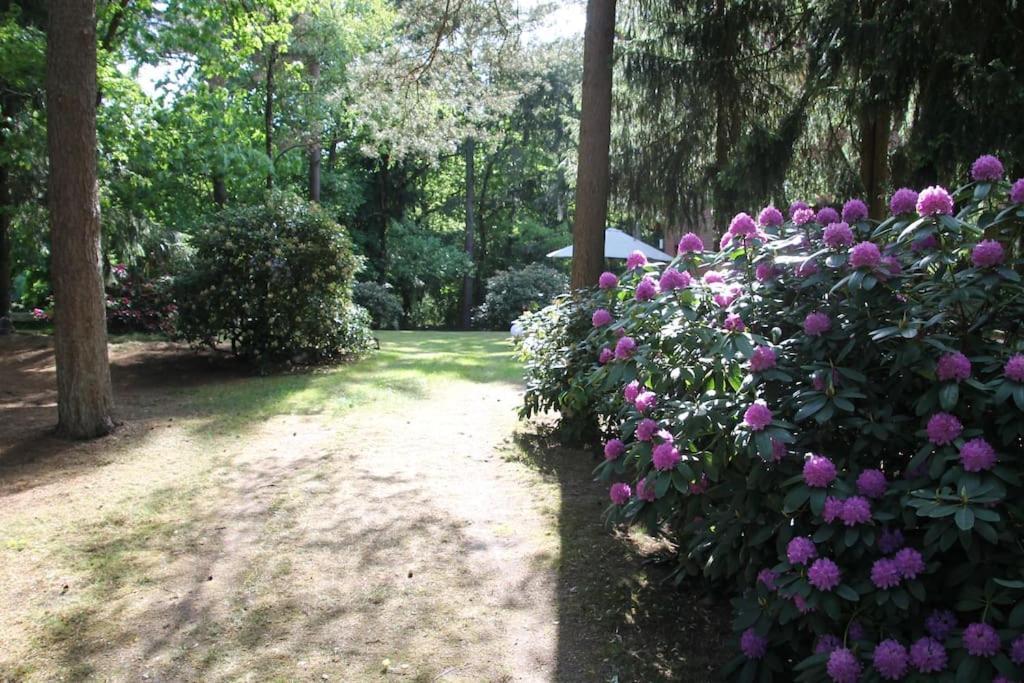 Ferienhaus Am Waldesrand Hatten Luaran gambar
