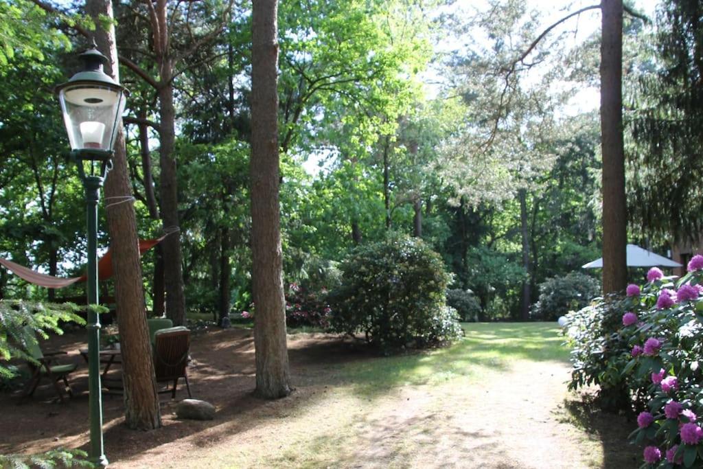 Ferienhaus Am Waldesrand Hatten Luaran gambar