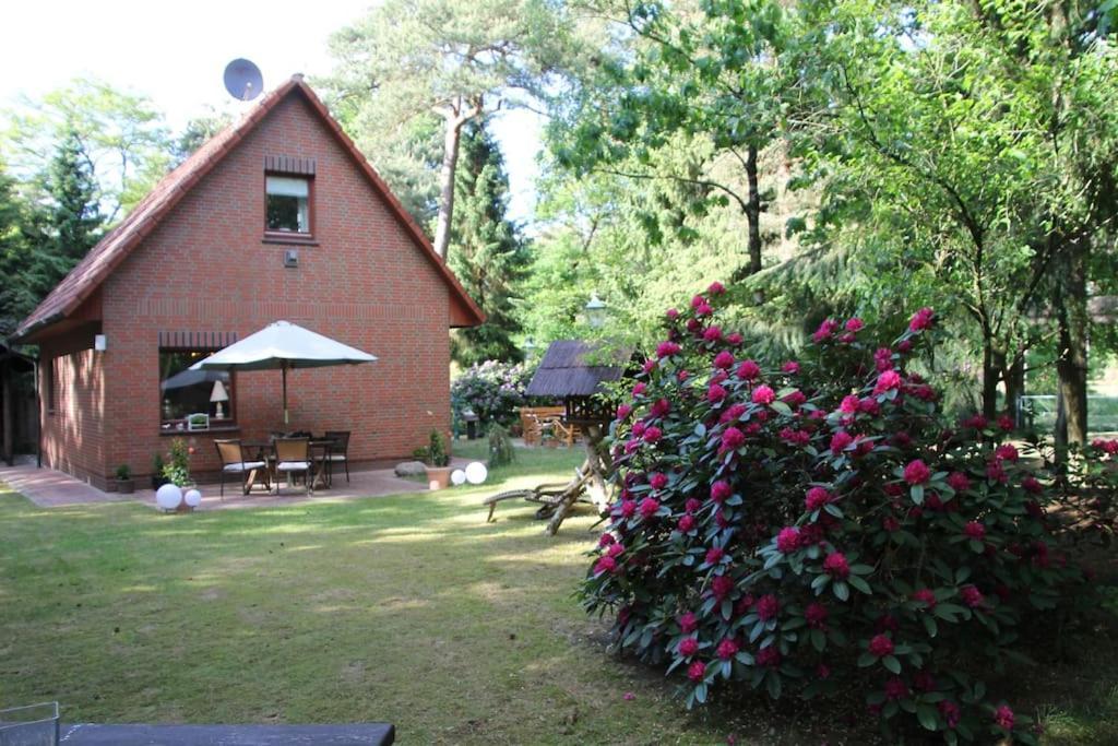 Ferienhaus Am Waldesrand Hatten Luaran gambar